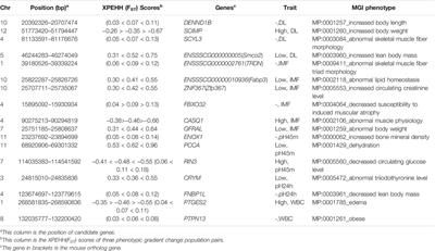 Trait-specific Selection Signature Detection Reveals Novel Loci of Meat Quality in Large White Pigs